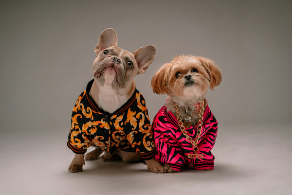 Mascotas